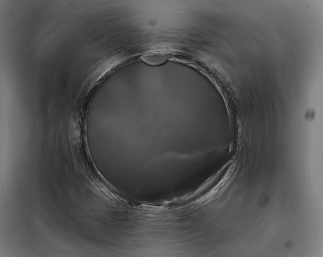 X0000097991401200804020957