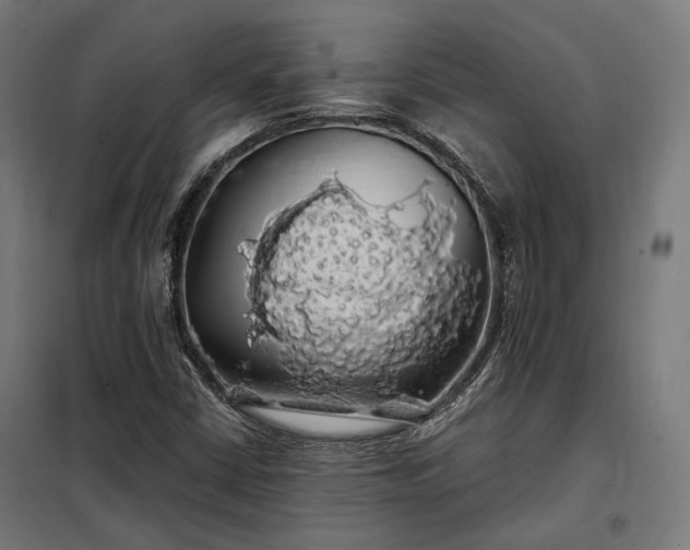 X0000097991402200804020958
