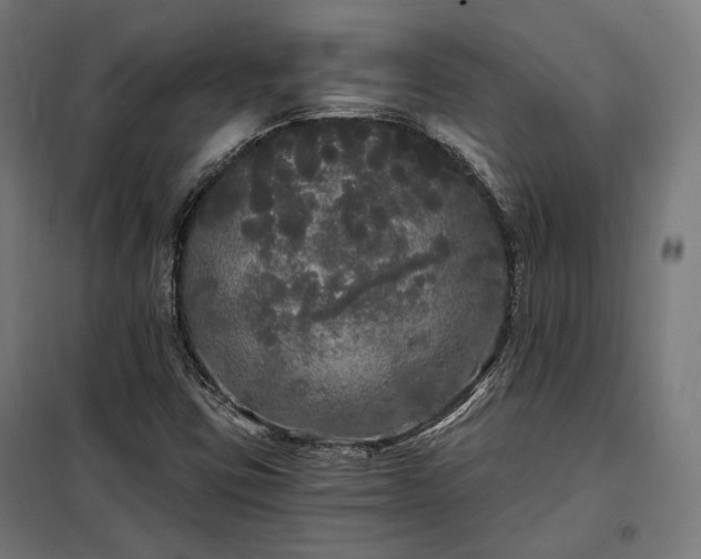 X0000097991403200804020958