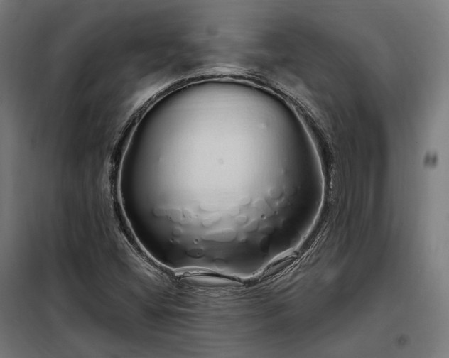 X0000097991404200804020958