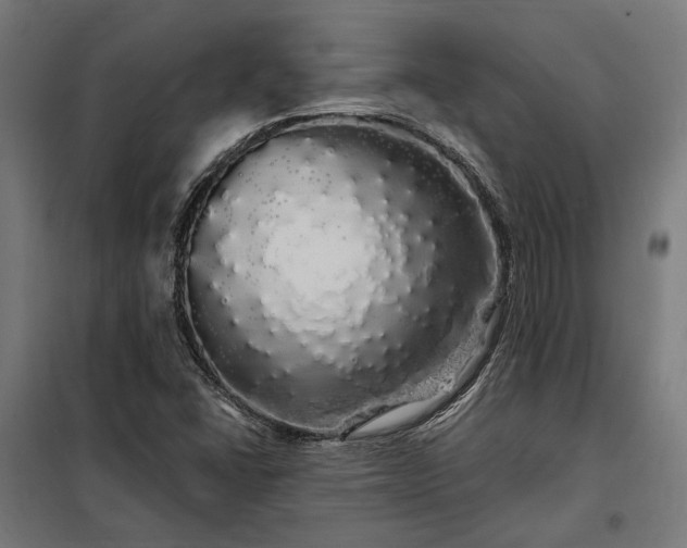 X0000097991406200804020958