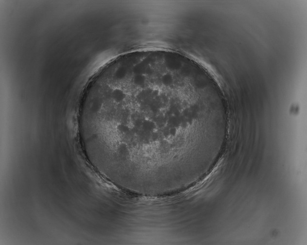 X0000097991407200804020958