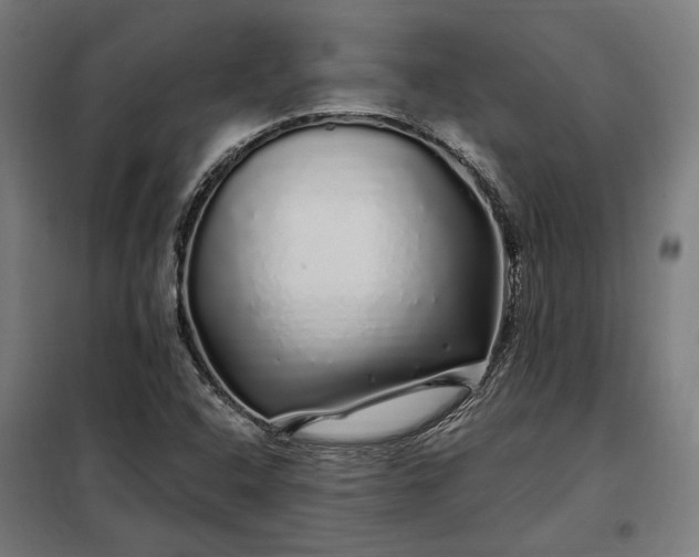 X0000097991408200804020958