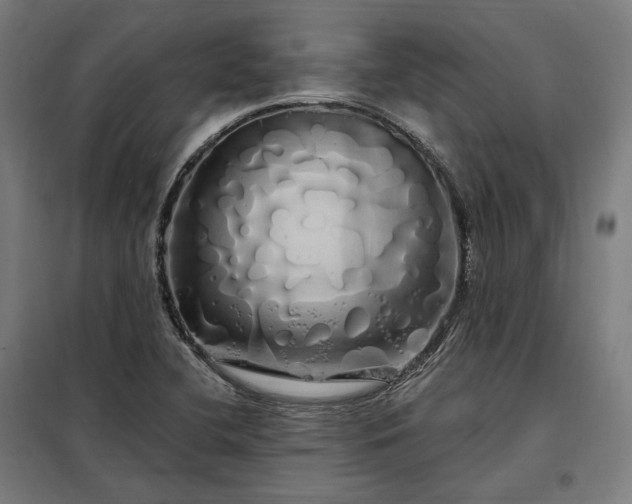 X0000097991412200804020958
