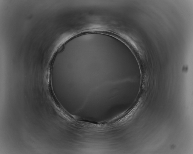 X0000097991413200804020958