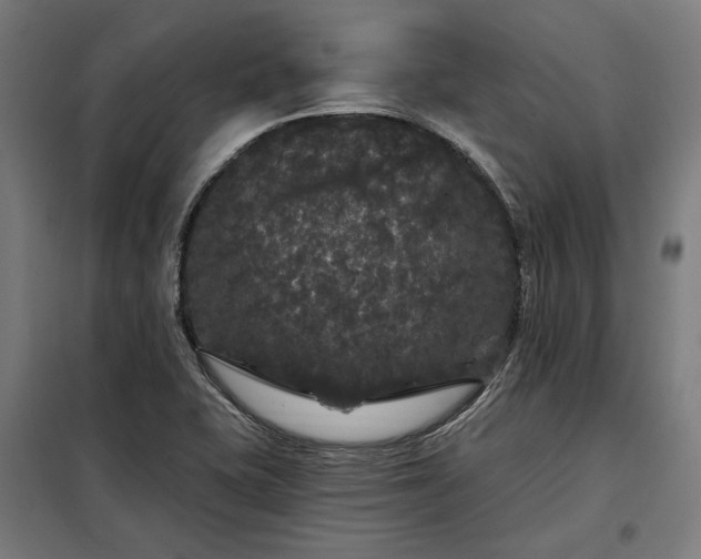X0000097991415200804020958