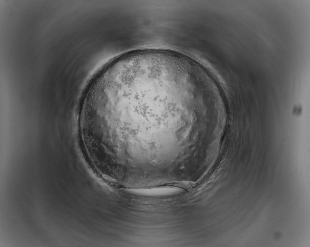 X0000097991416200804020958