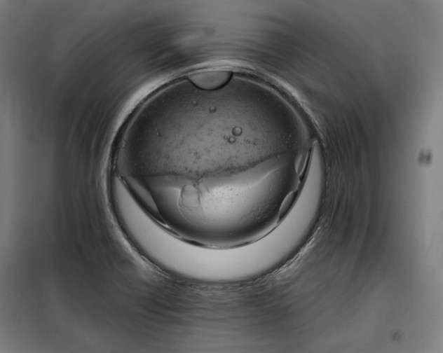 X0000097991418200804020958