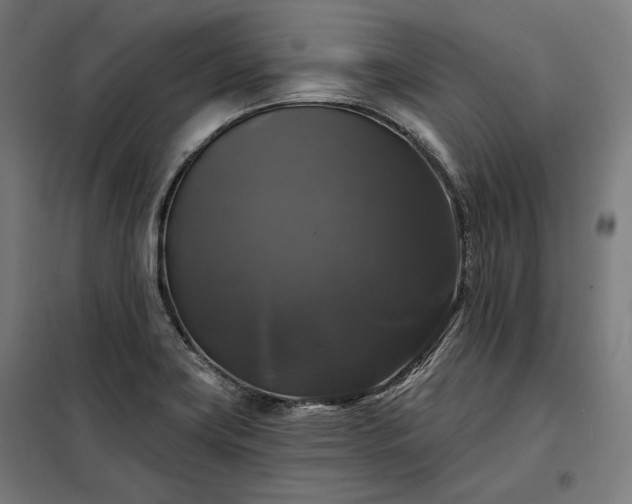 X0000097991419200804020958