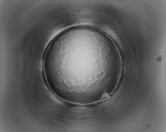 X0000097991420200804020958