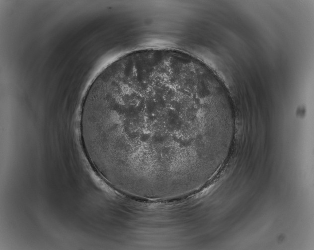 X0000097991421200804020958