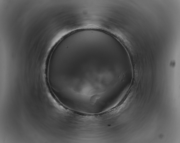X0000097991422200804020958