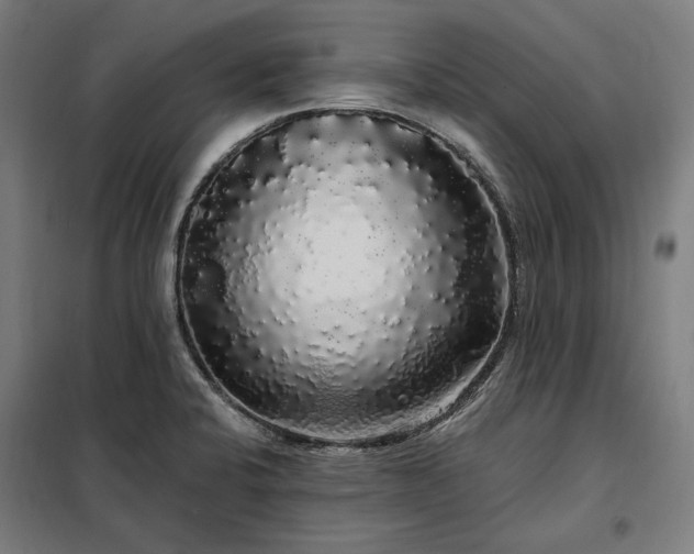 X0000097991424200804020958