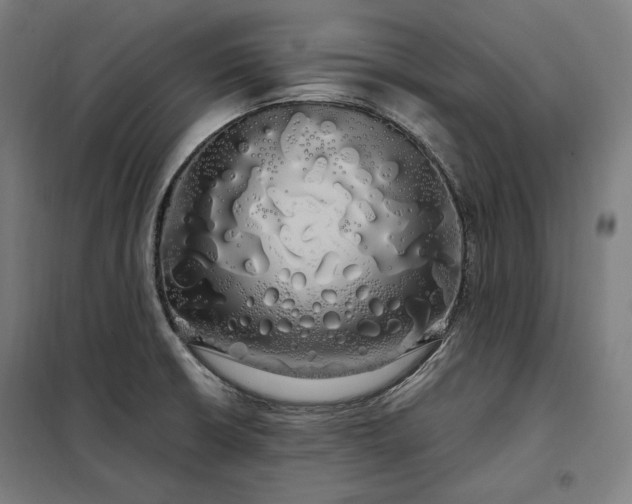 X0000097991426200804020958