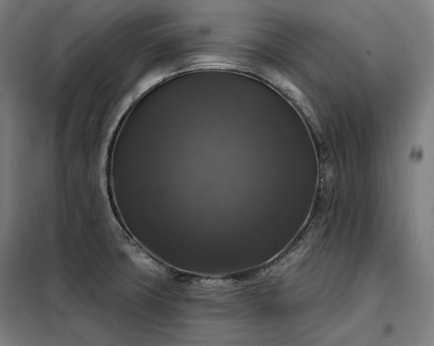X0000097991427200804020958