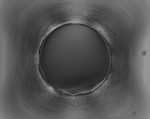 X0000097991428200804020958
