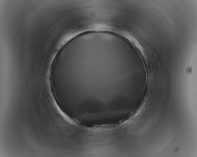 X0000097991429200804020958