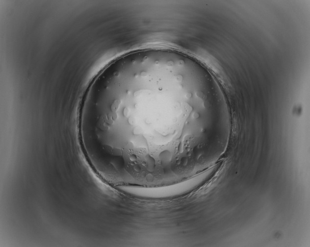 X0000097991430200804020958