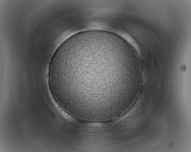 X0000097991431200804020958