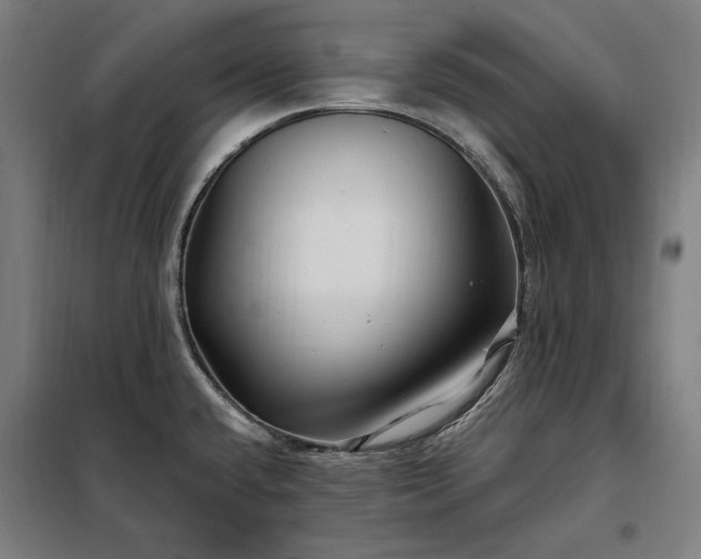 X0000097991432200804020958