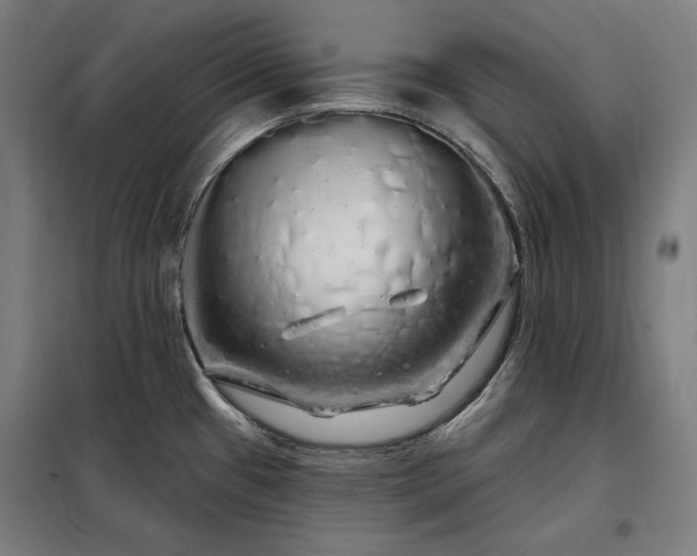 X0000097991433200804020958