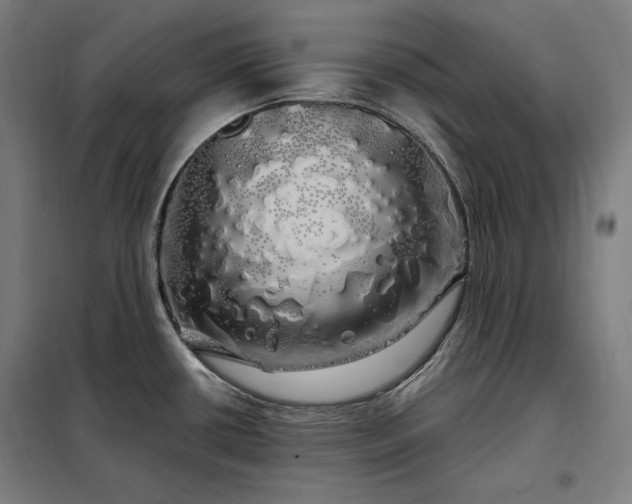 X0000097991434200804020958