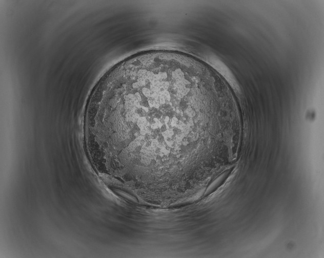X0000097991436200804020958
