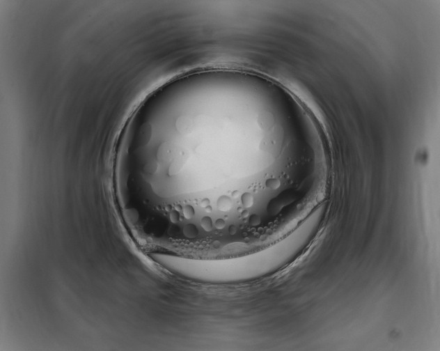 X0000097991437200804020958