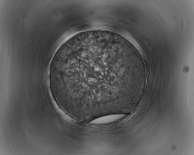 X0000097991439200804020958