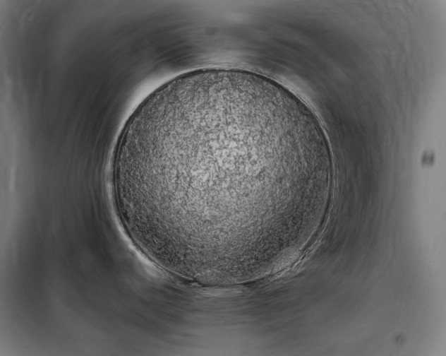 X0000097991440200804020958