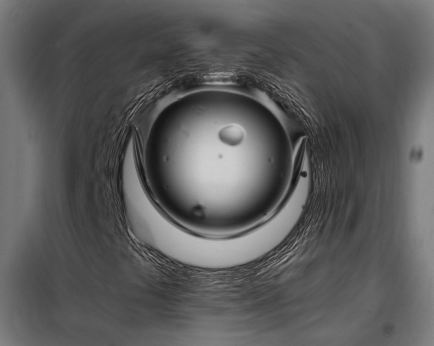 X0000097991441200804020957