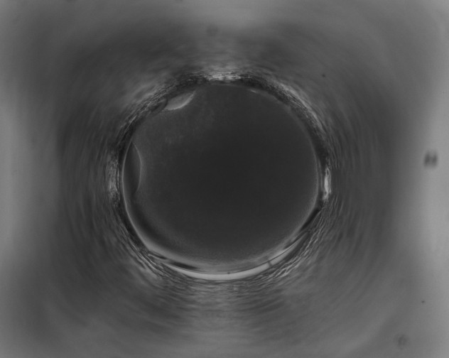 X0000097991444200804020957