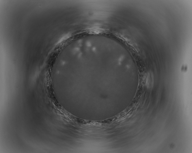 X0000097991446200804020957
