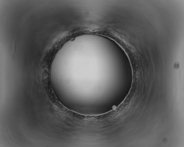 X0000097991447200804020957