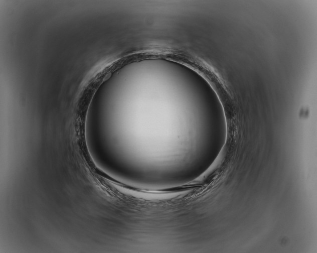 X0000097991448200804020957