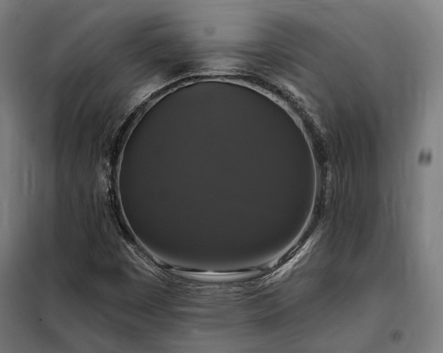 X0000097991449200804020957