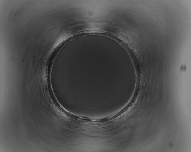 X0000097991450200804020957