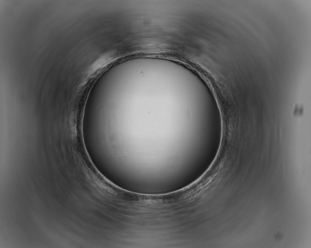 X0000097991451200804020957