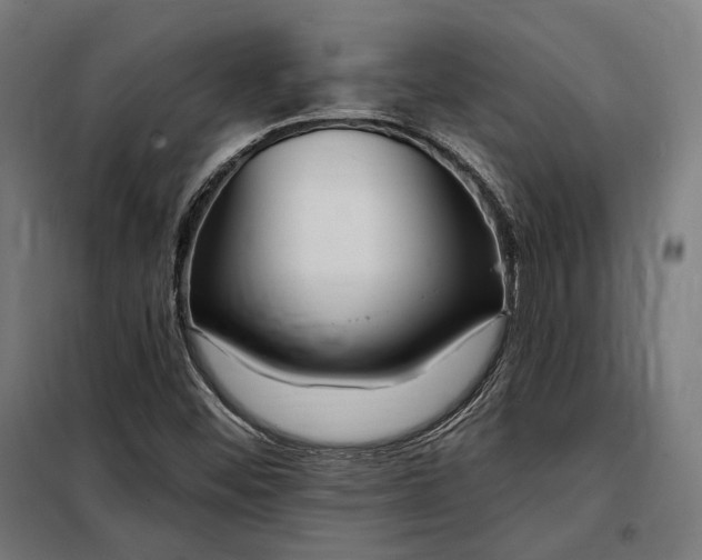 X0000097991452200804020957