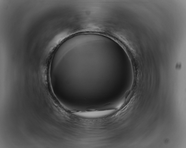 X0000097991455200804020957