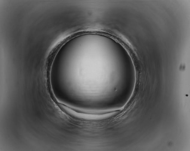 X0000097991456200804020957