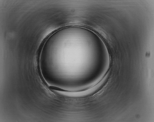 X0000097991458200804020957