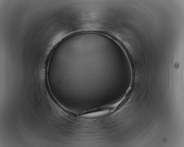X0000097991459200804020957