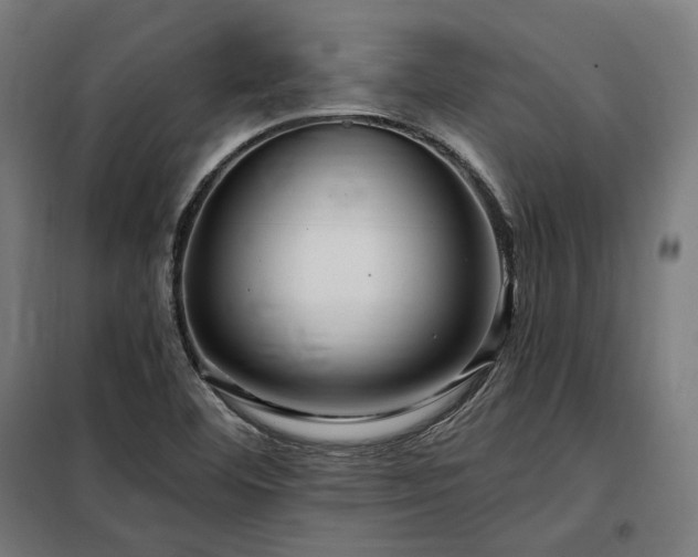 X0000097991460200804020957