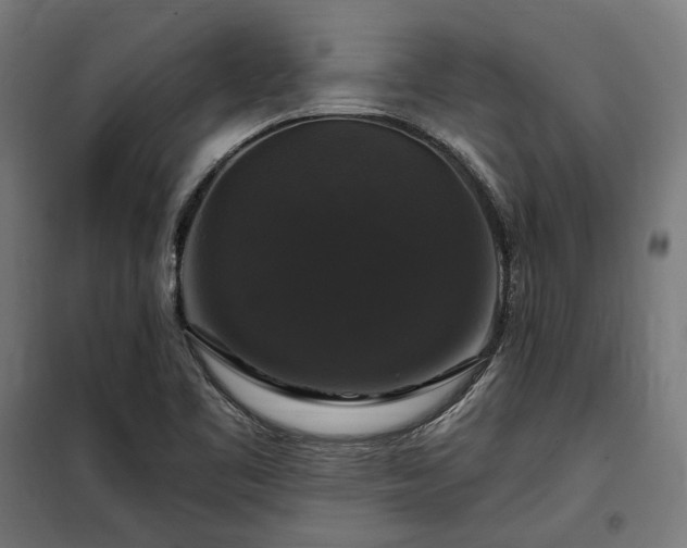 X0000097991461200804020957