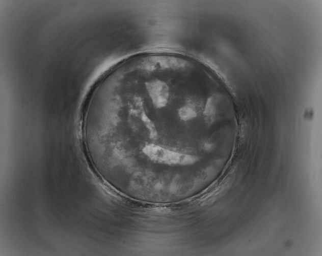 X0000097991462200804020957
