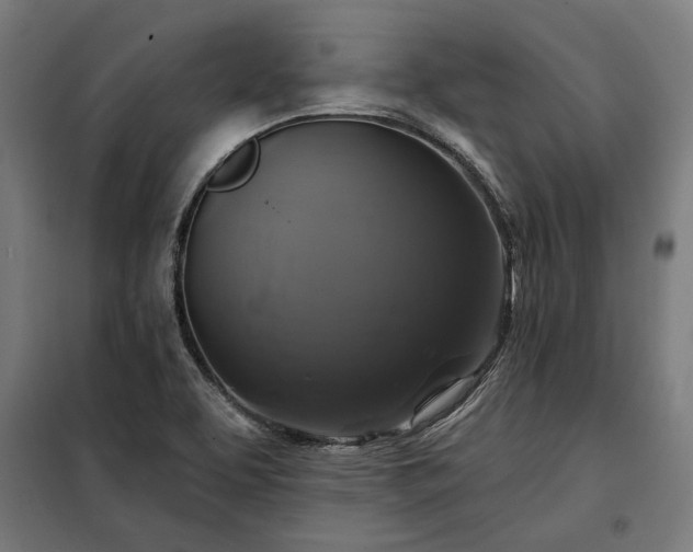 X0000097991463200804020957