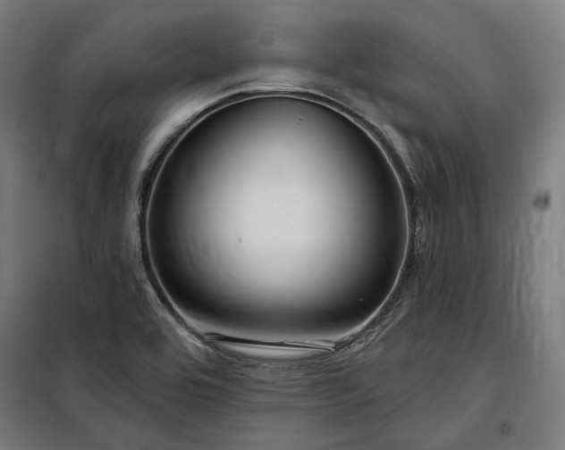 X0000097991464200804020957