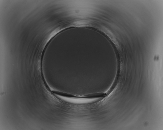 X0000097991465200804020957
