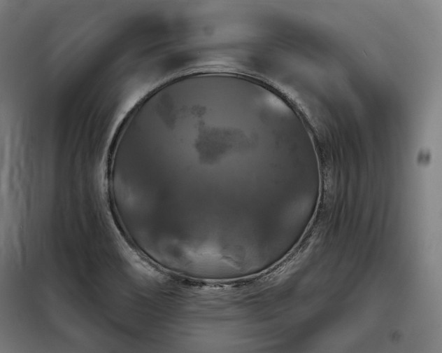 X0000097991466200804020957